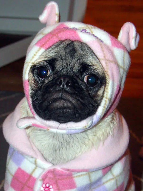 Preppy Pink Argyle: Chilly Beanie Hat